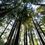 午夜福到在线2019 4t90ncvv78